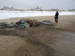 Flotsam & jetsam & snow on the beach.
