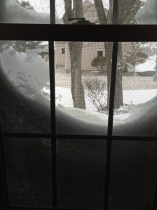 the living room window