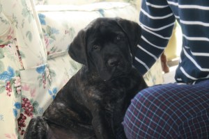 I am being a really good girl - but just wait.  HaHa...