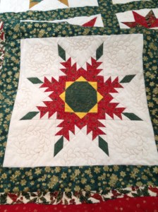 Radiant Feathered Star