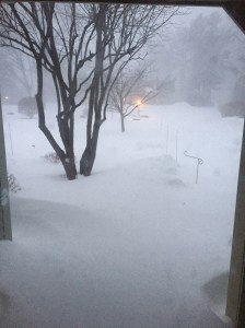 there really is a driveway there!