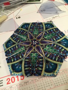 Center of first Hexie - lots more to add.